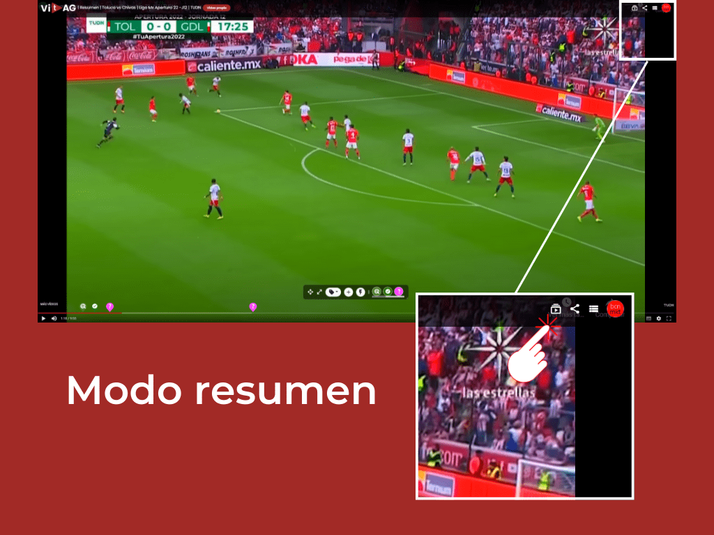Captura del modo resumen de ViTAG para revisar las escenas marcadas
