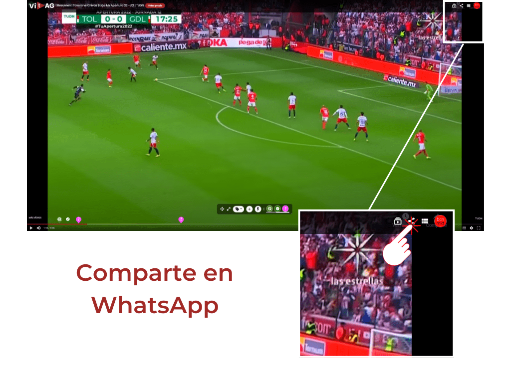 Captura de la opción para compartir un vídeo de ViTAG por WhatsApp
